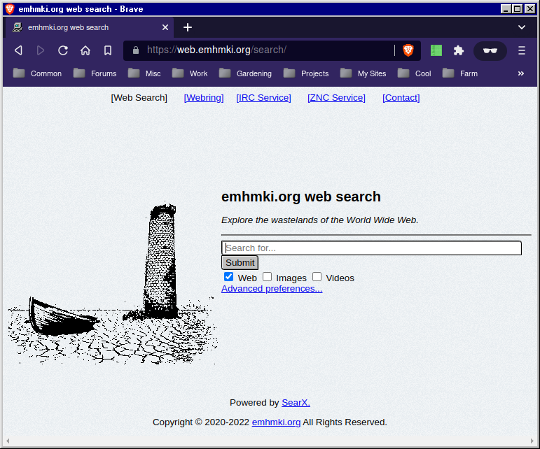 Brave browser screenshot